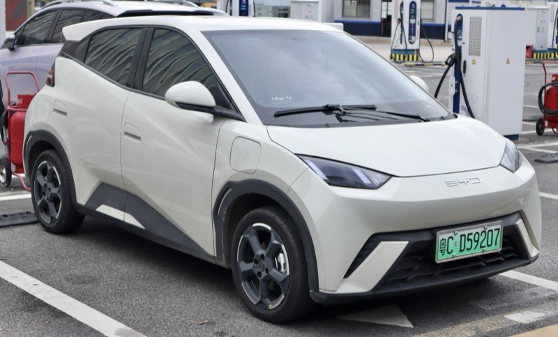 BYD Dolphin Surf